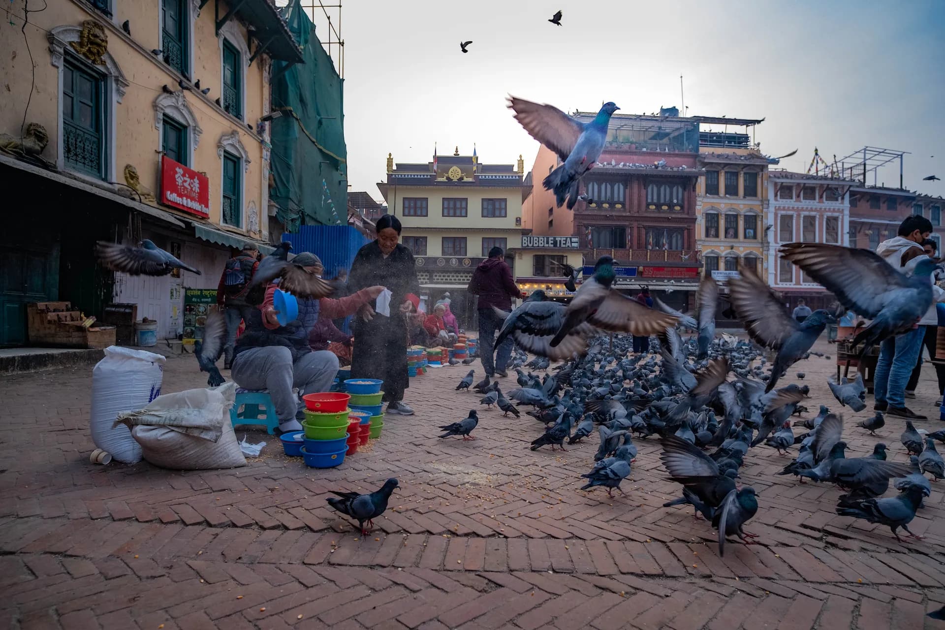 Stillness in Flight II