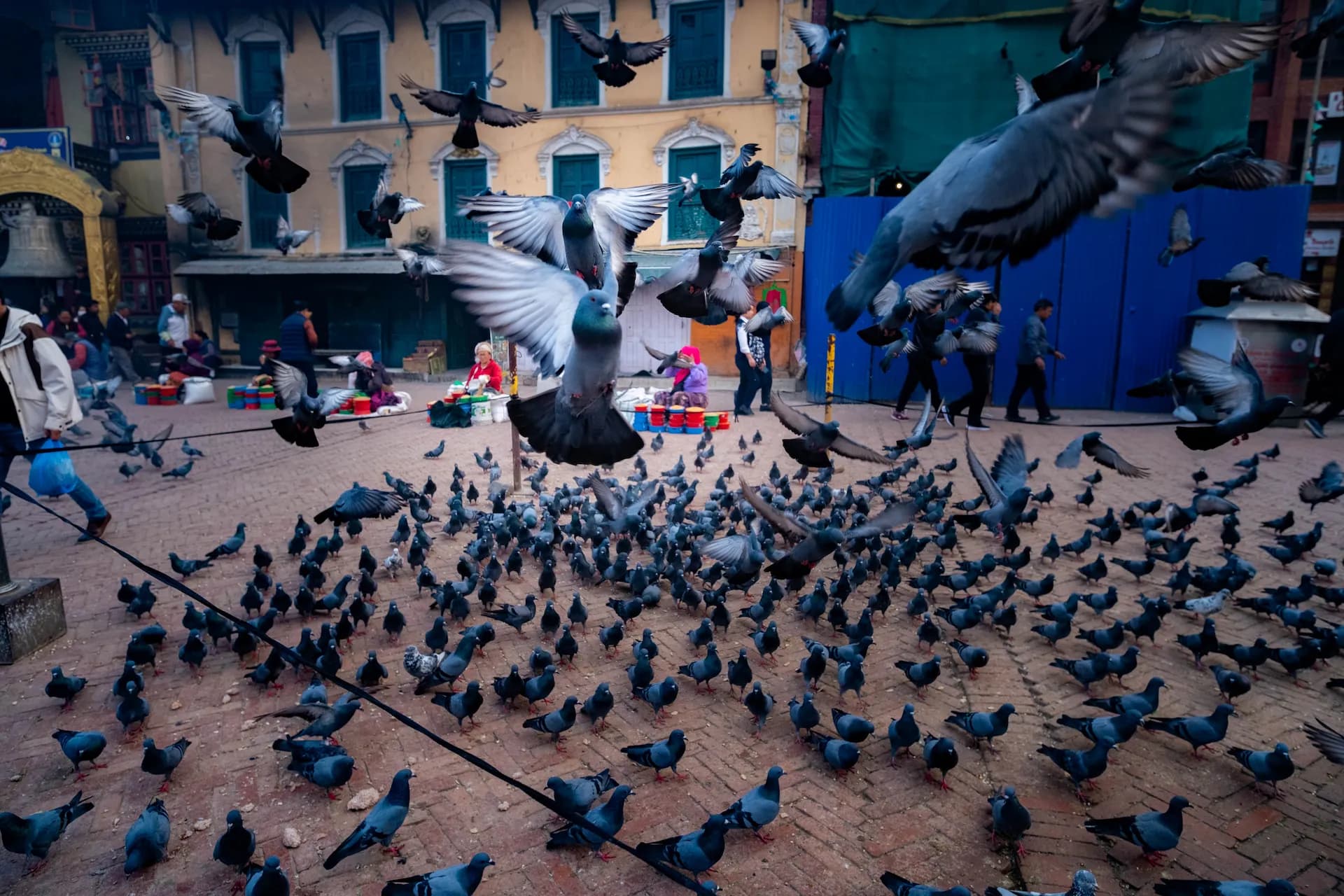 Stillness in Flight — Doves at Boudha, Kathmandu